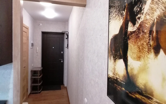 Квартира на Улице Никитина 107