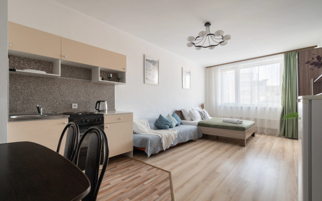 Апартаменты Удобная Студия в Центре Екатеринбурга