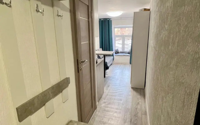 Апартаменты N2 на Петроградке