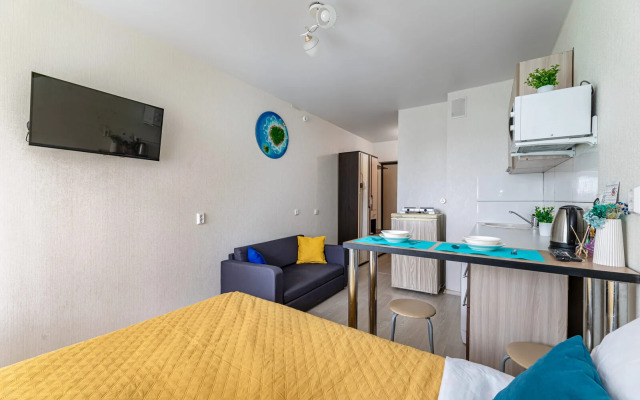 Studiya Stilnaya ChistoFamilyv Serdtse Zelenodolska Flat