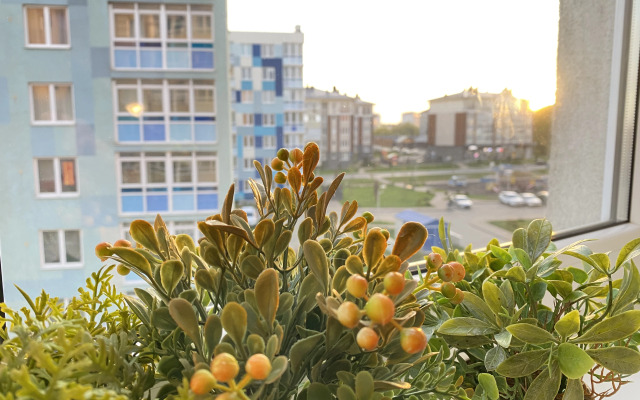 Morskoy kurort Flat