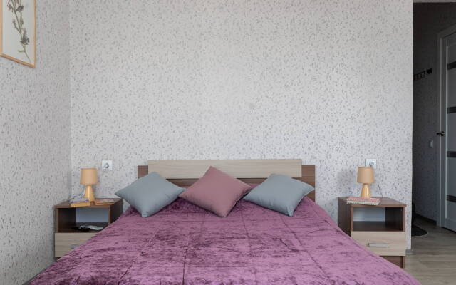 Studiya Na Nevskogo 192 Flat