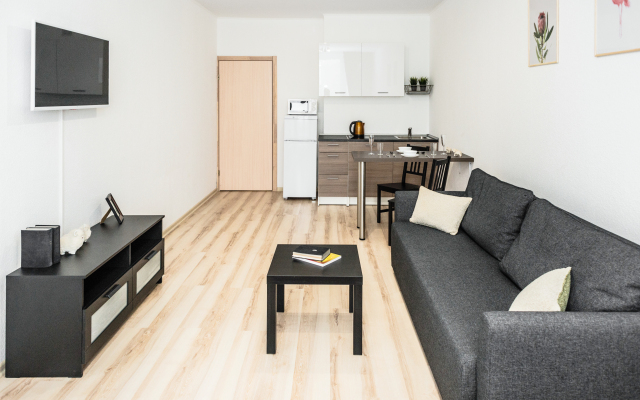 Апартаменты Pashk Inn Artek