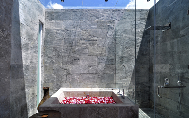 Villa Ashoka Canggu