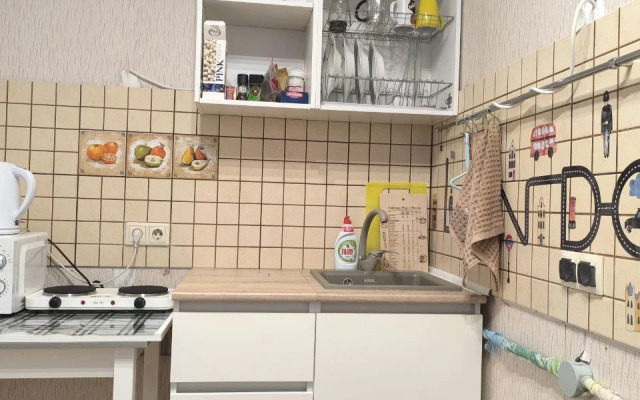 Uyutnaya Studiya V Novom Petergofe Flat