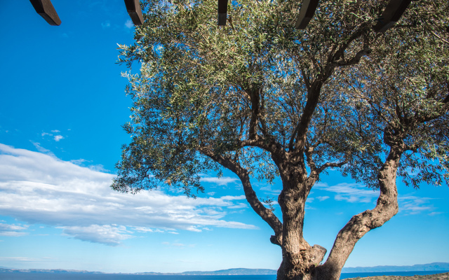 Nissi View Vourvourou Villa