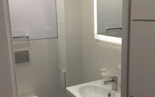 Апартаменты Шикарная студия