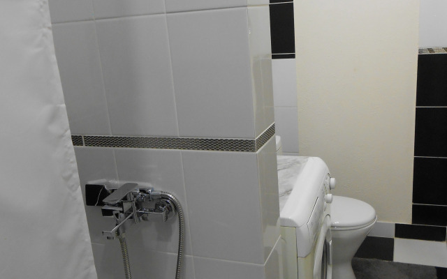 V Tsentre Pskova Flat