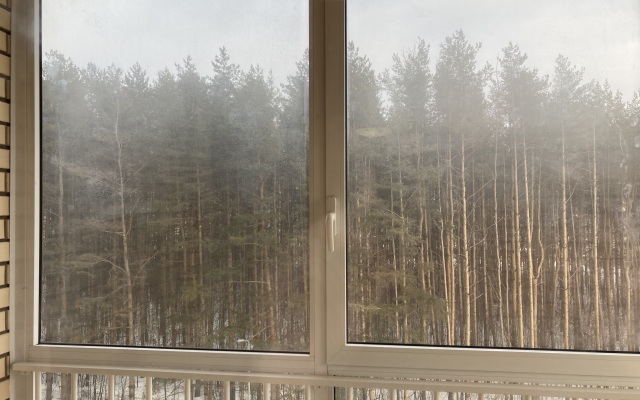 Квартира Двухкомнатная Квартира Рядом с Лесом