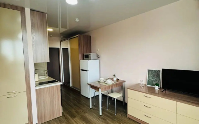 Studiya V Novom Dome Flat