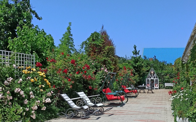Pansion Paradiz Guest House