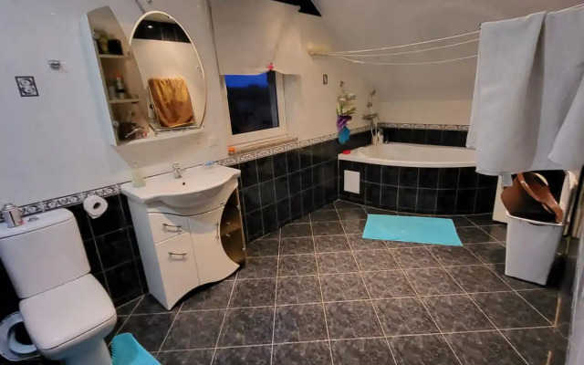 Частный дом Большой дом возле Светлогорска