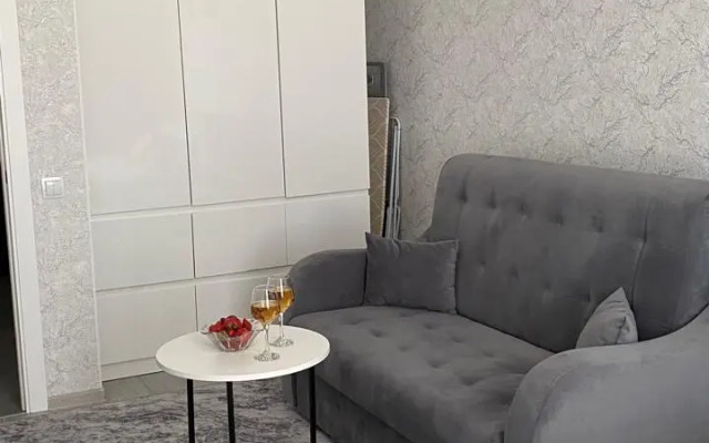 Квартира Дворец спорта Янтарный