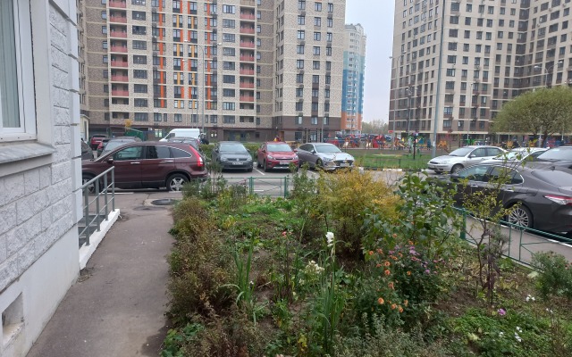 Na Struve 9k1 Apartments