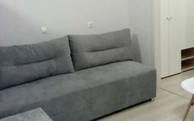 Uyutnaya studiya na Nagornom v g. Permi Flat