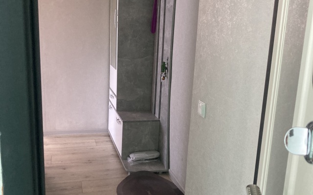 Na Ploschadi Lenina Apartments