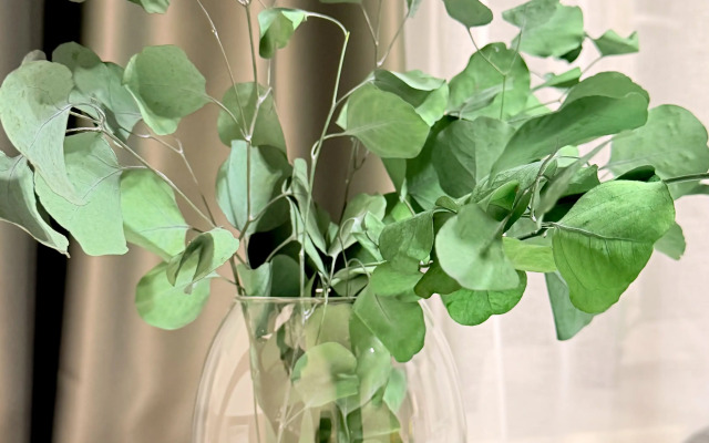 Квартира Шикарная двушка Бульвар Мира