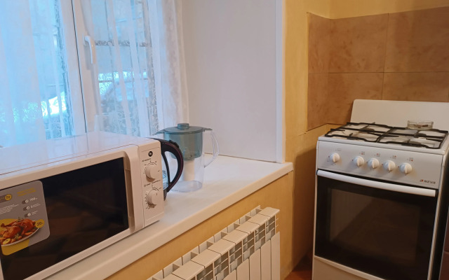 Квартира Большая Однушка на Ваське