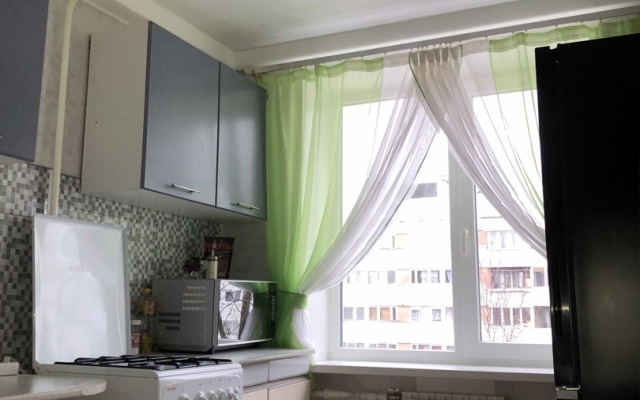 Apartamenty u Metro Ozerki