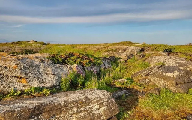 База отдыха Лопский берег