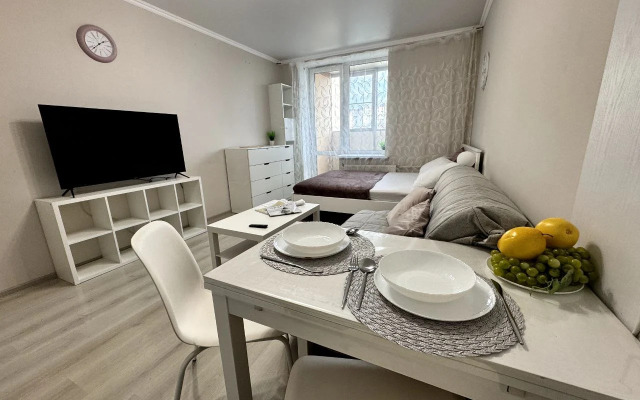 Квартира Уютная студия