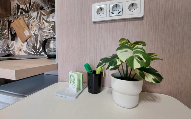 Jungle Studio Apartment