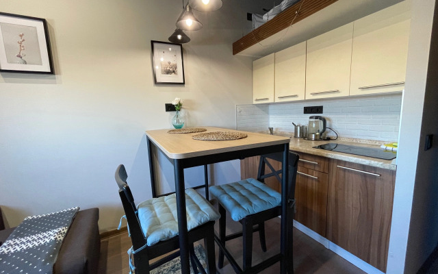 ZenApart Visokiy Loft № 2 Apartments