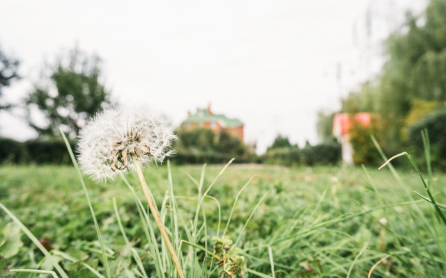 Отель Green Roof