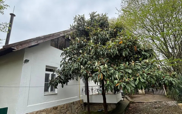 Pit Stop Guest House