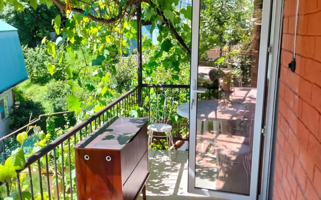 Pod Palmoy Guest House
