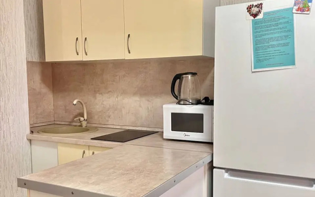 Апартаменты на Революции