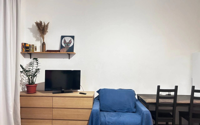 Квартира на Европейском Проспекте 20к1