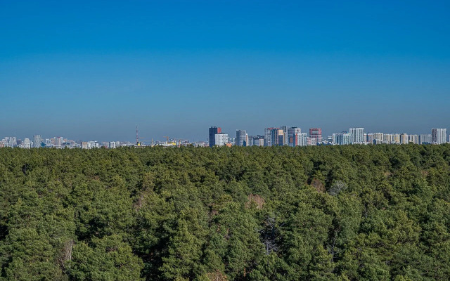 Квартира Великолепная Квартира с Видом на Сосны