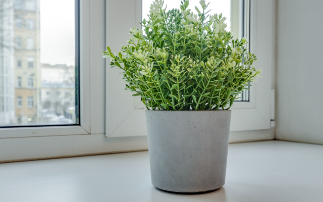 Prostornaya U Naberezhnoy Nevy Flat