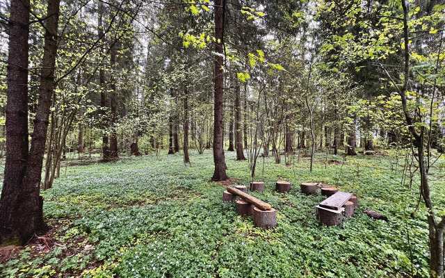 Гостевой дом Загородный таунхаус на берегу собственно водоёма