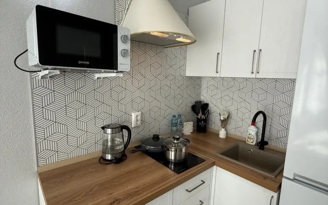 Studiya V Tsentre Yaroslavlya Flat