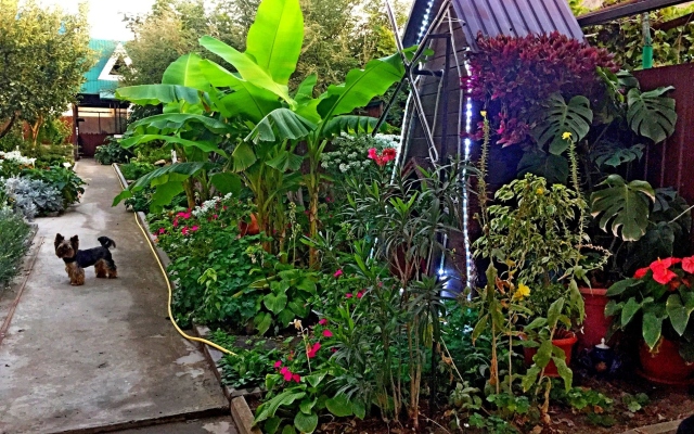 Частный дом 069 Маячная 38