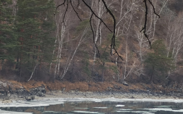 Гостевой дом Тишина Алтая