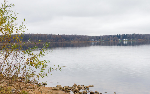 Квартира уютная на 15 этаже в самом сердце парка