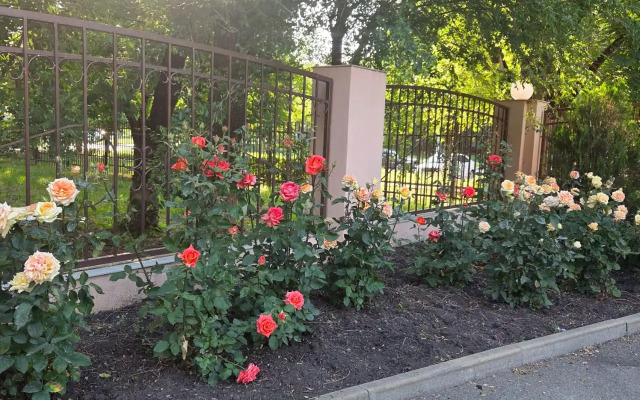 Отель Парк Отдых 