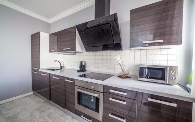 Апартаменты Люкс в Центре города