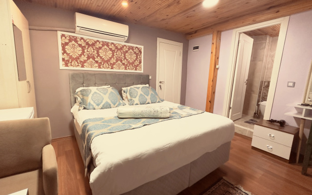 Отель Mitra Downtown