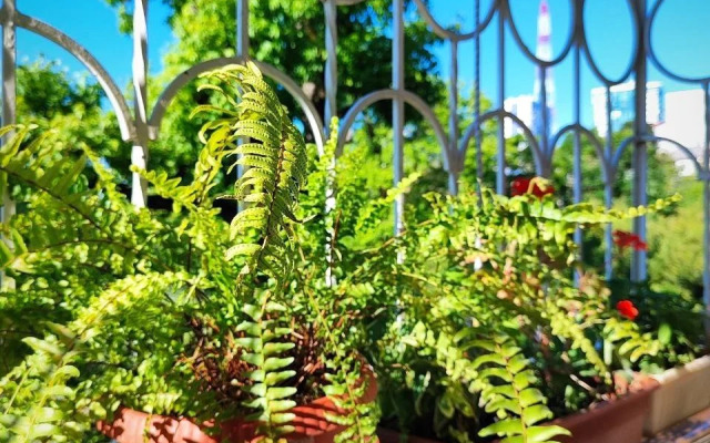 Квартира Уютная 2х комнатная в центре Сочи