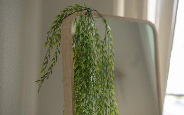 Апартаменты Maxi Sirius Town