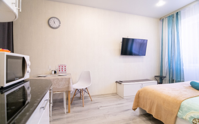 Stylish Studio in Novostroe Apartments