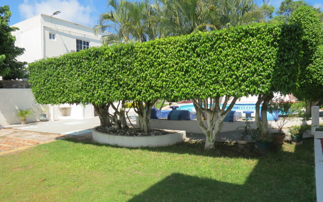 Отель Albri by Rotamundos