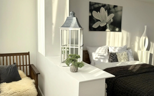 ApartMari Shikarnyye apartamenty v samom tsentre Kaliningrada Apartments
