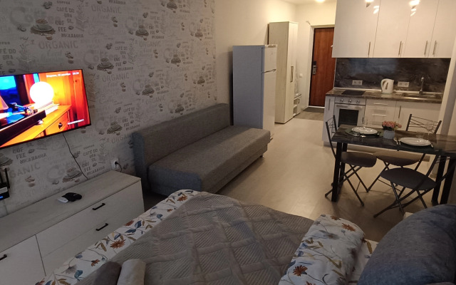 Апартаменты Комфортная студия Green Дом