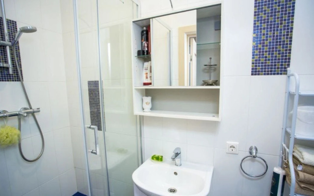 Квартира Однокомнатная в Центре Петербурга