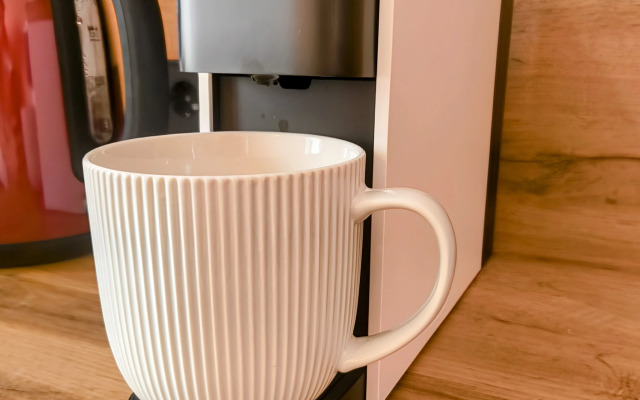 Uyutnaya kvartira v serdtse goroda Flat
